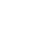 pin.png
